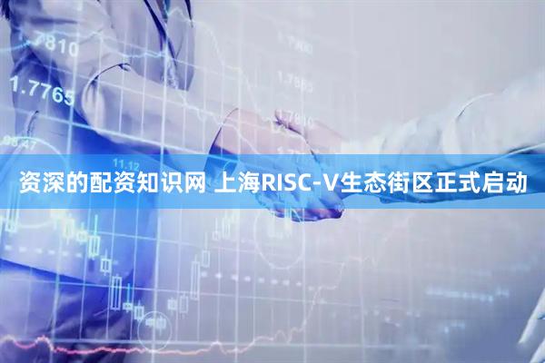 资深的配资知识网 上海RISC-V生态街区正式启动
