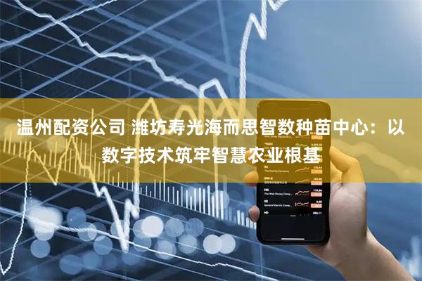 温州配资公司 潍坊寿光海而思智数种苗中心：以数字技术筑牢智慧农业根基
