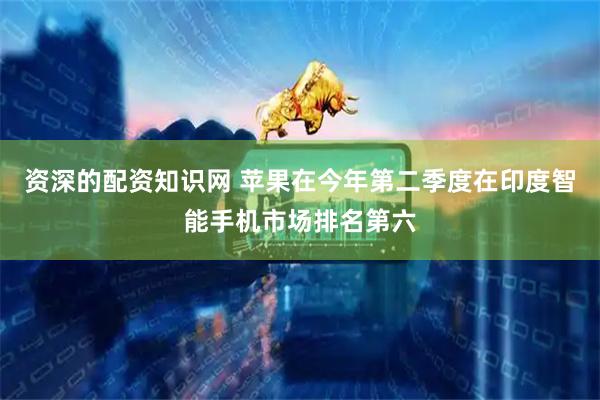 资深的配资知识网 苹果在今年第二季度在印度智能手机市场排名第六